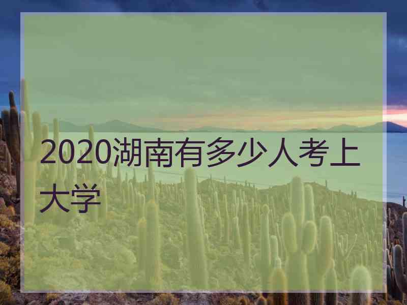 2020湖南有多少人考上大学