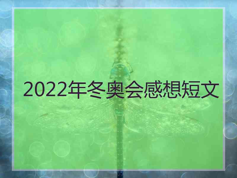 2022年冬奥会感想短文