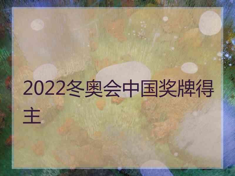 2022冬奥会中国奖牌得主