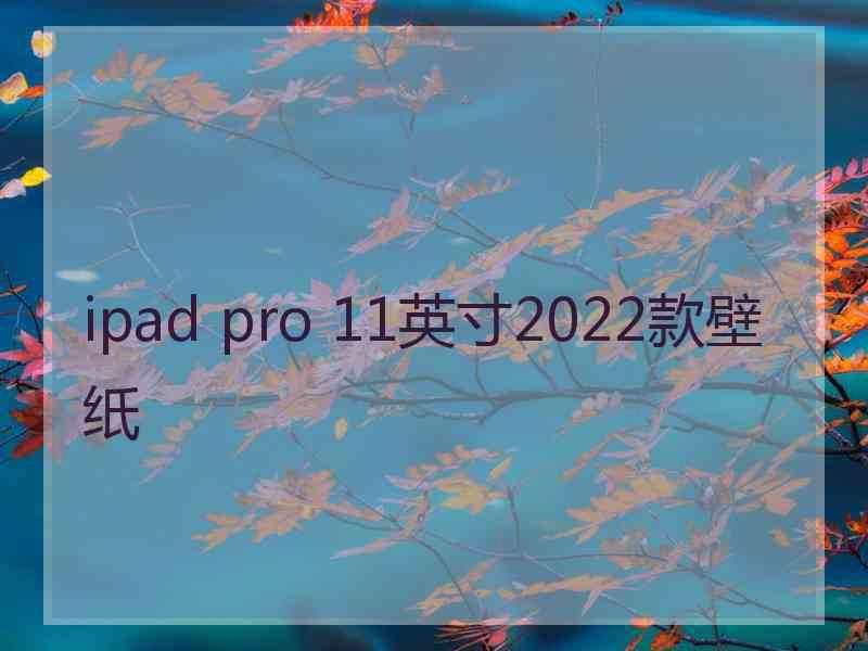 ipad pro 11英寸2022款壁纸