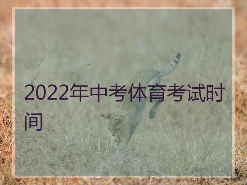 2022年中考体育考试时间