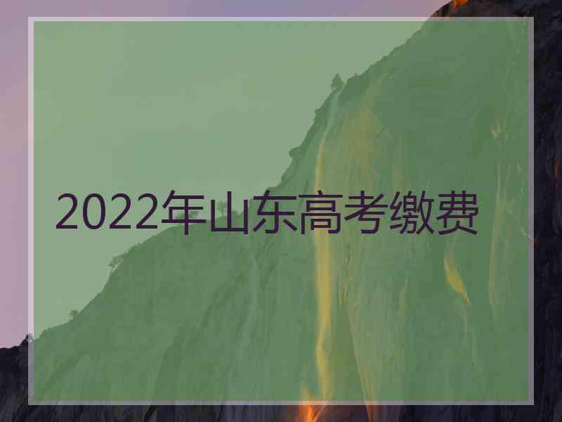 2022年山东高考缴费