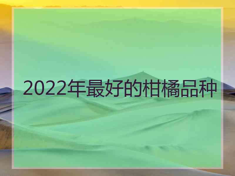 2022年最好的柑橘品种