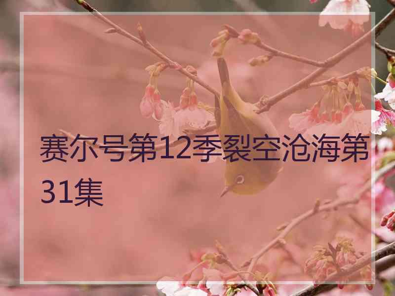 赛尔号第12季裂空沧海第31集