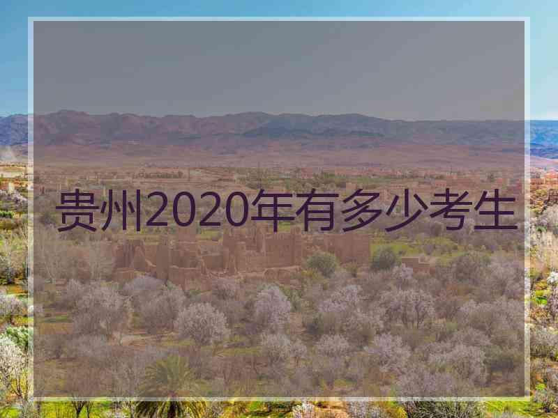 贵州2020年有多少考生