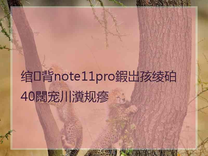 绾㈢背note11pro鍜岀孩绫砶40闊宠川瀵规瘮