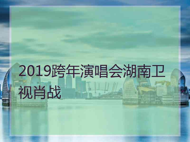 2019跨年演唱会湖南卫视肖战