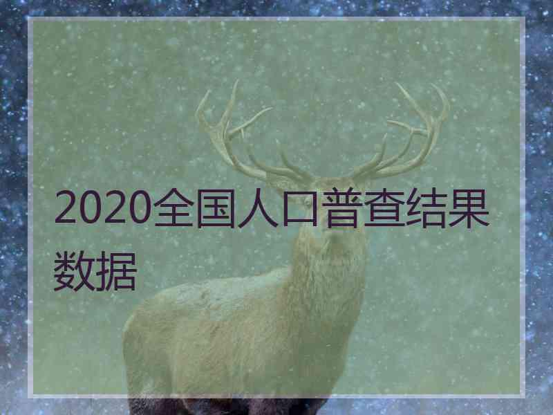 2020全国人口普查结果数据