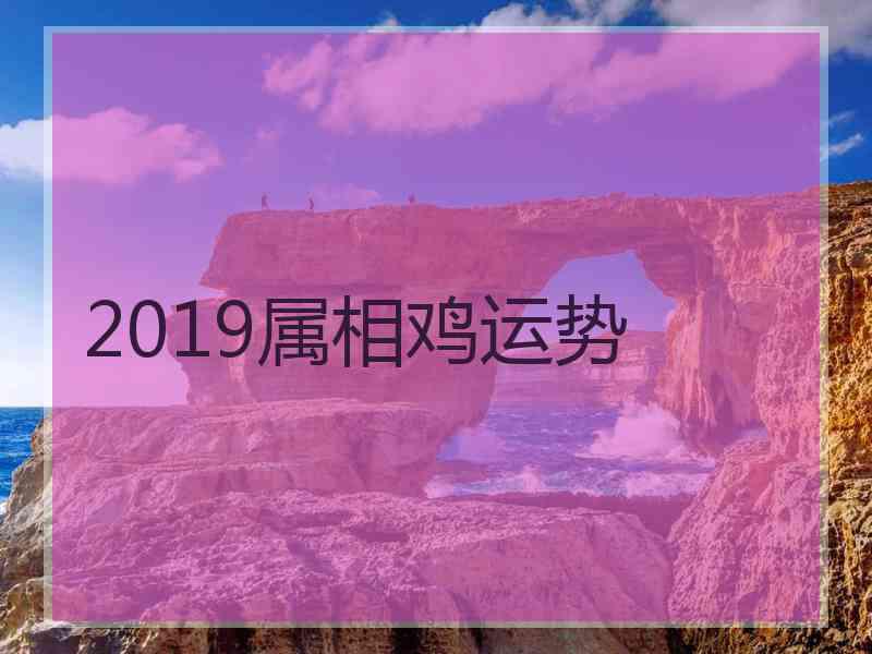 2019属相鸡运势