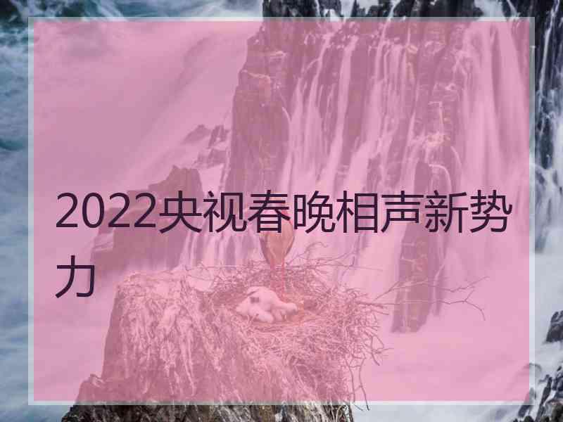 2022央视春晚相声新势力