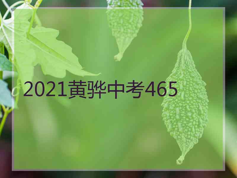 2021黄骅中考465