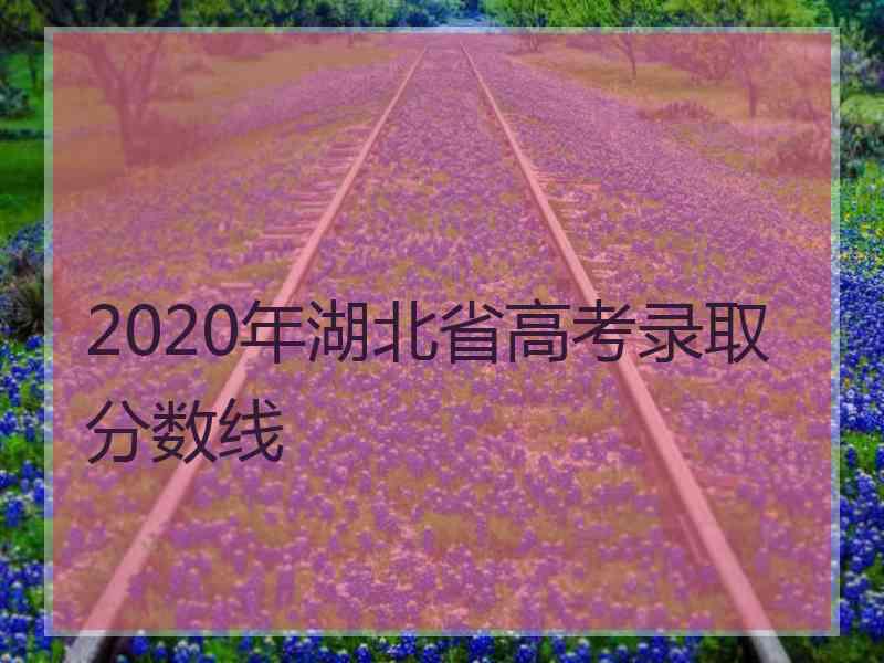 2020年湖北省高考录取分数线