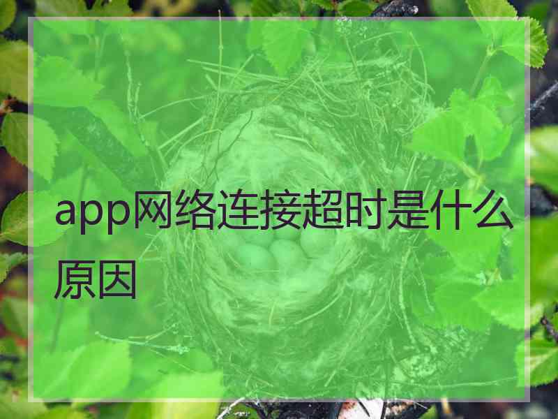 app网络连接超时是什么原因