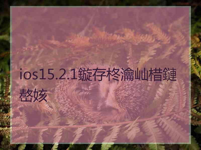 ios15.2.1鏇存柊瀹屾棤鏈嶅姟