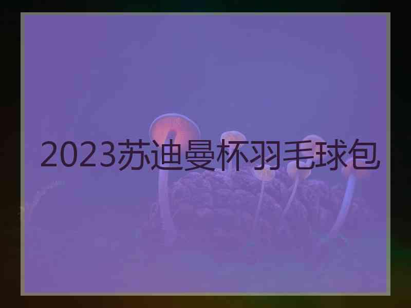 2023苏迪曼杯羽毛球包