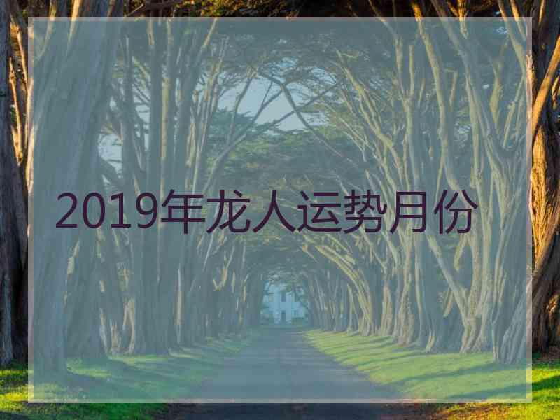 2019年龙人运势月份