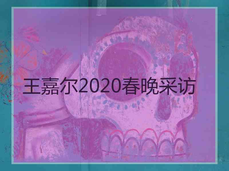 王嘉尔2020春晚采访