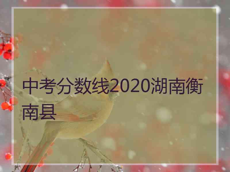 中考分数线2020湖南衡南县