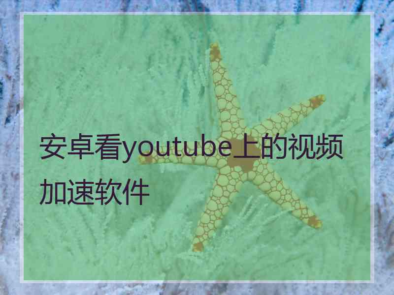 安卓看youtube上的视频加速软件