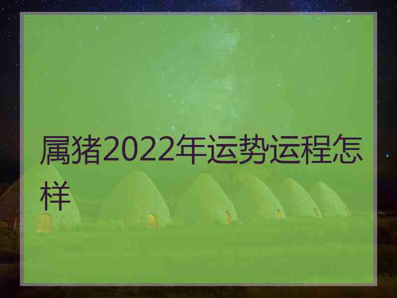 属猪2022年运势运程怎样