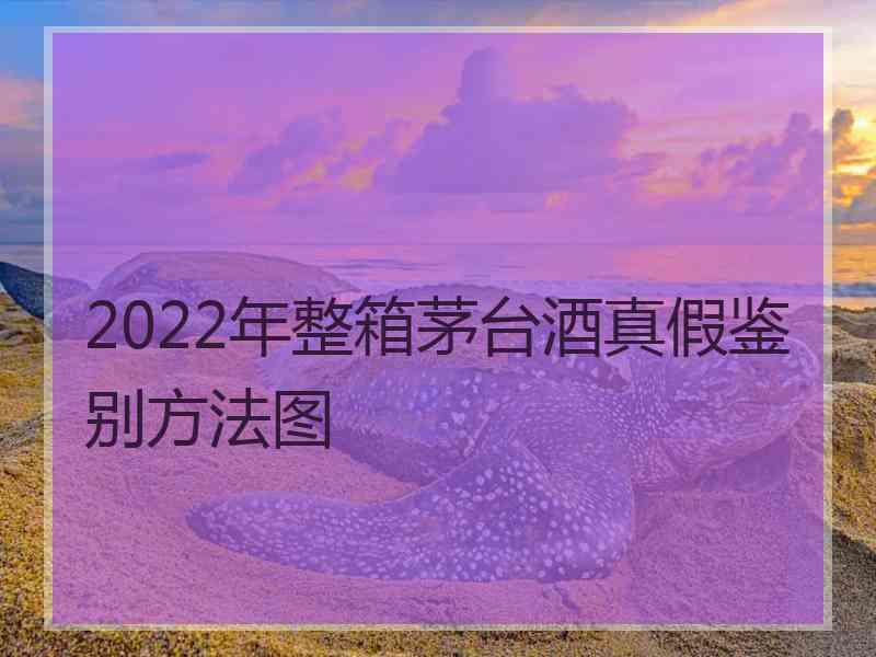 2022年整箱茅台酒真假鉴别方法图