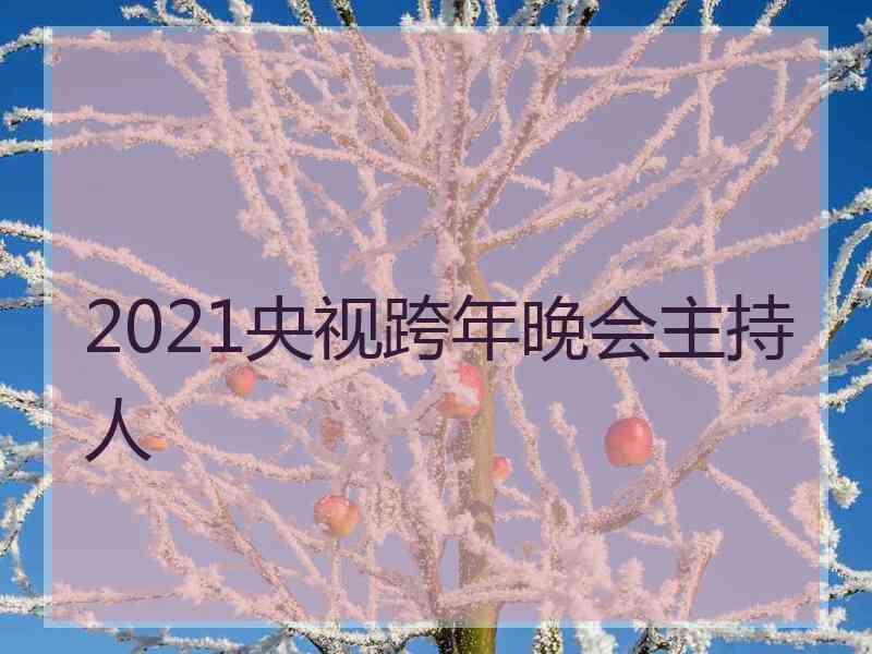 2021央视跨年晚会主持人