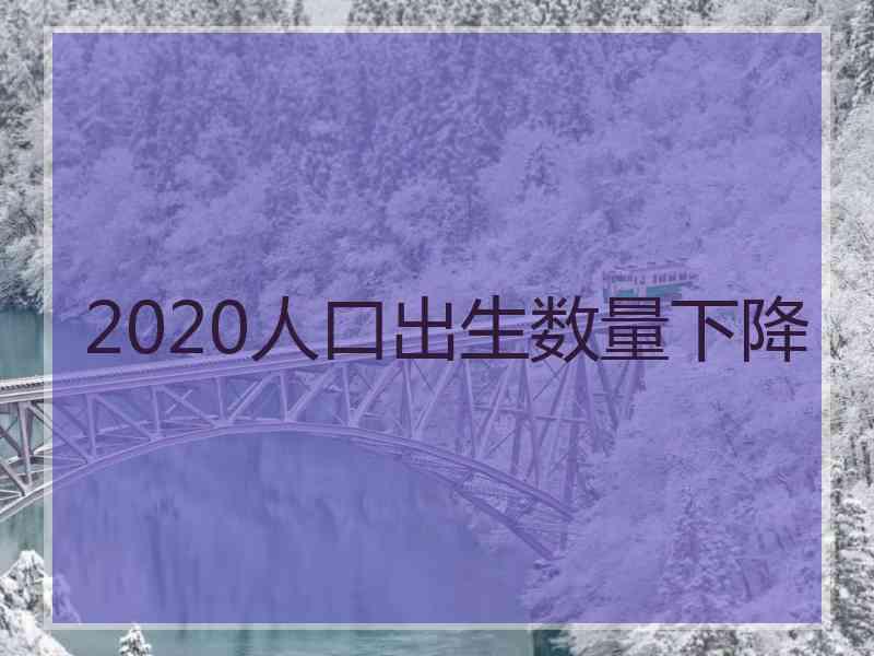 2020人口出生数量下降