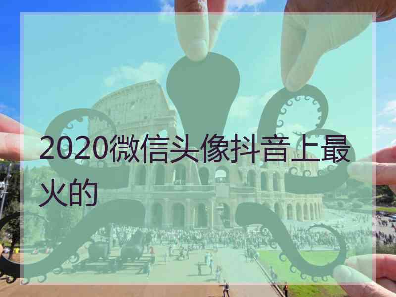 2020微信头像抖音上最火的