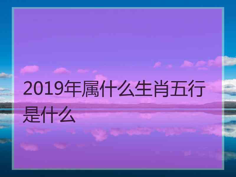 2019年属什么生肖五行是什么