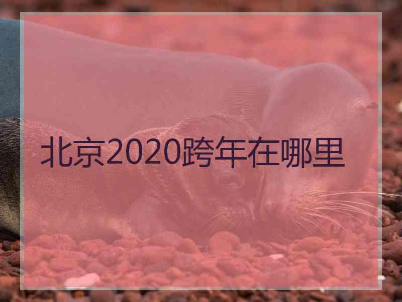 北京2020跨年在哪里