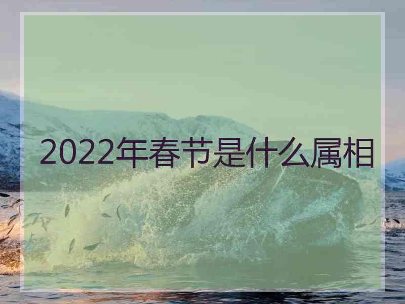 2022年春节是什么属相