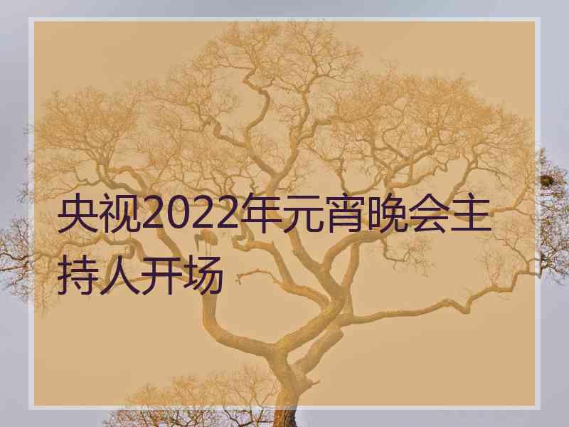 央视2022年元宵晚会主持人开场