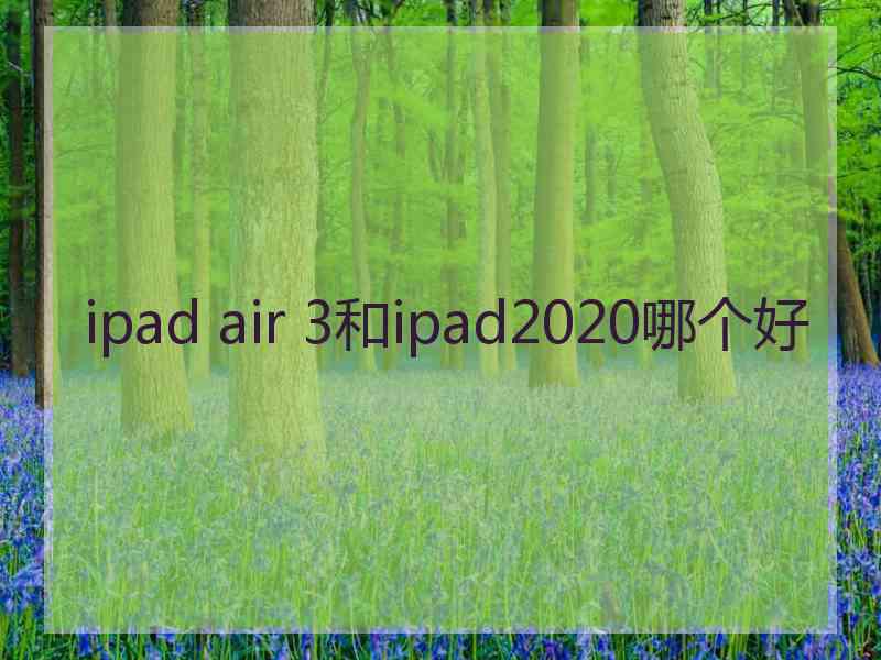 ipad air 3和ipad2020哪个好