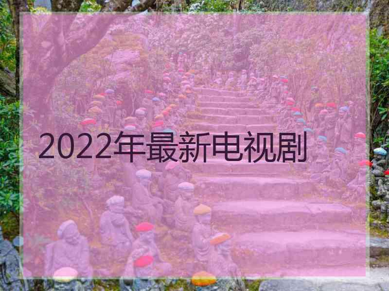 2022年最新电视剧