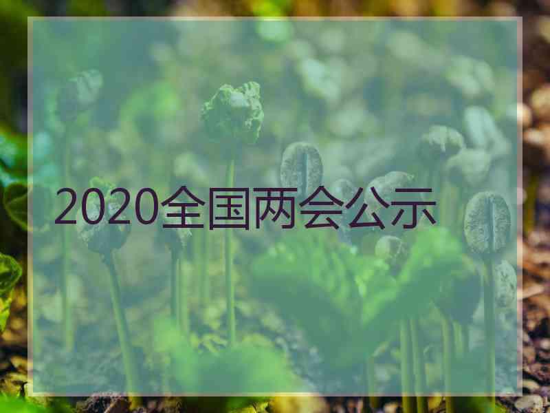 2020全国两会公示