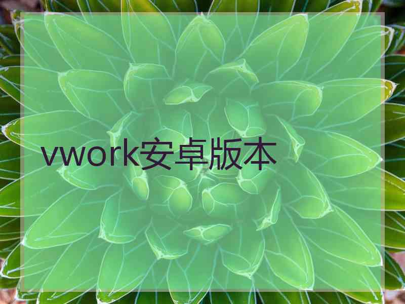 vwork安卓版本