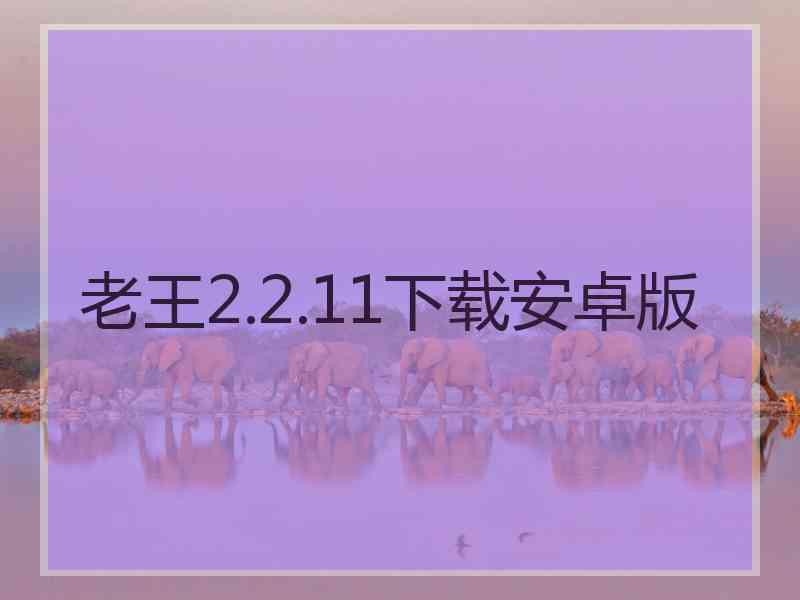 老王2.2.11下载安卓版