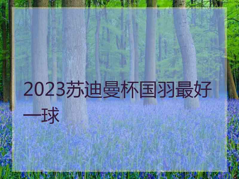 2023苏迪曼杯国羽最好一球