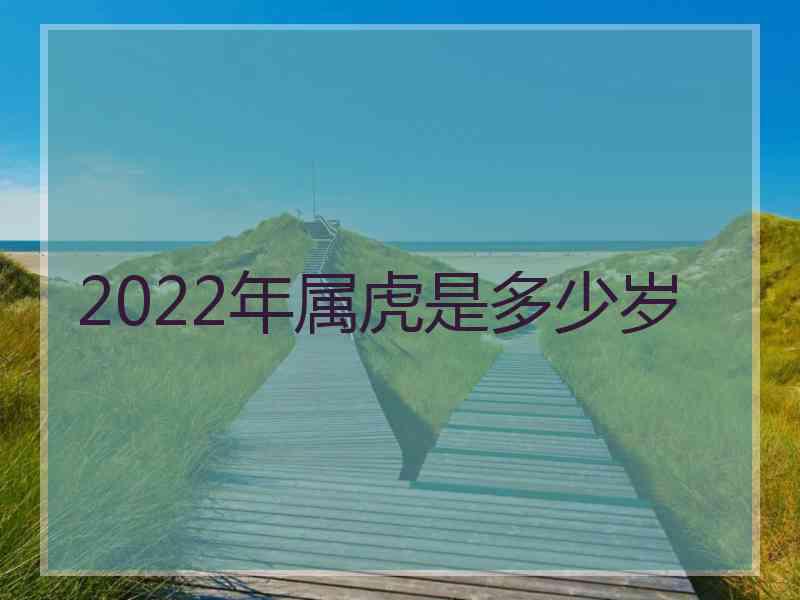 2022年属虎是多少岁