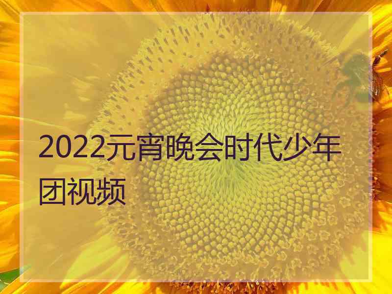 2022元宵晚会时代少年团视频