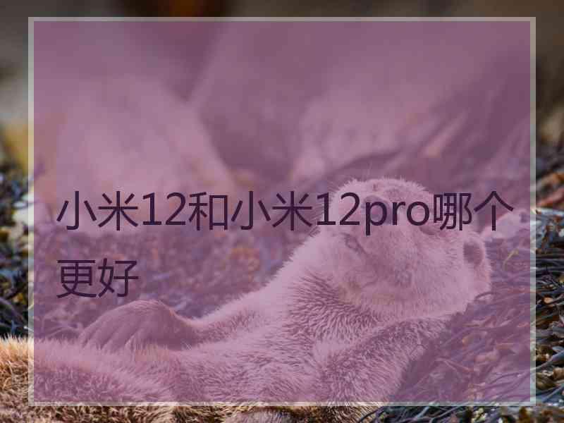 小米12和小米12pro哪个更好