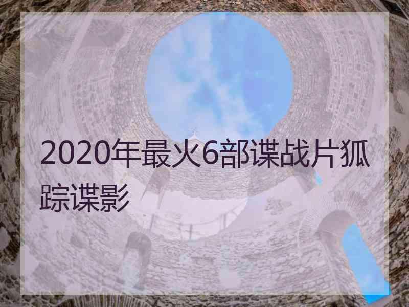 2020年最火6部谍战片狐踪谍影