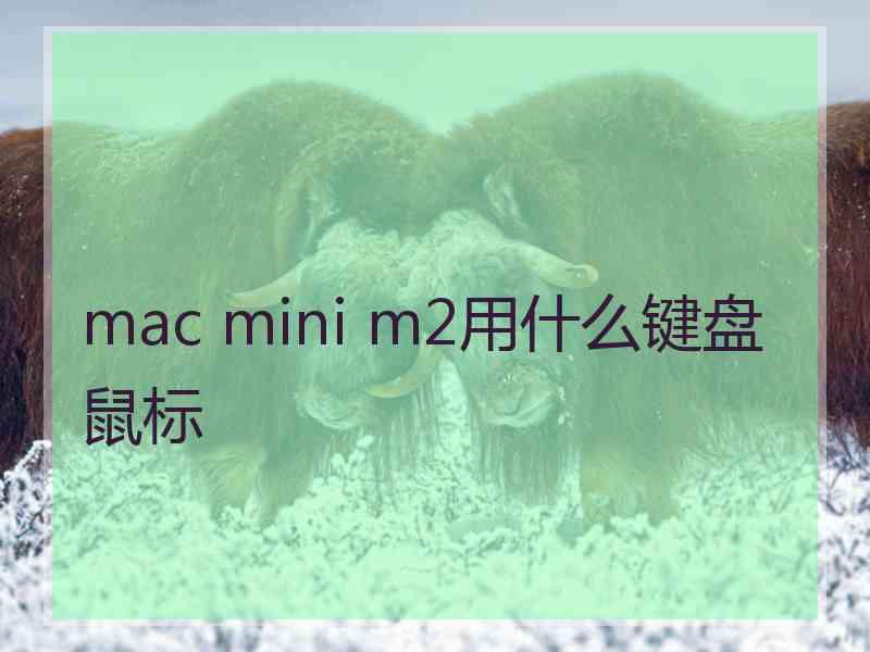 mac mini m2用什么键盘鼠标