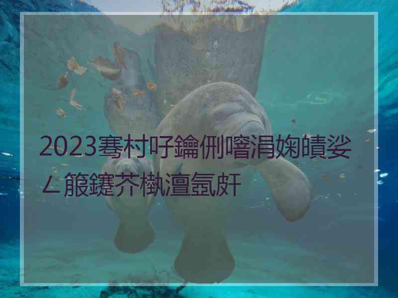 2023骞村吇鑰侀噾涓婅皟娑ㄥ箙鑳芥槸澶氬皯