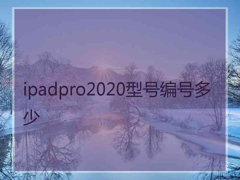 ipadpro2020型号编号多少