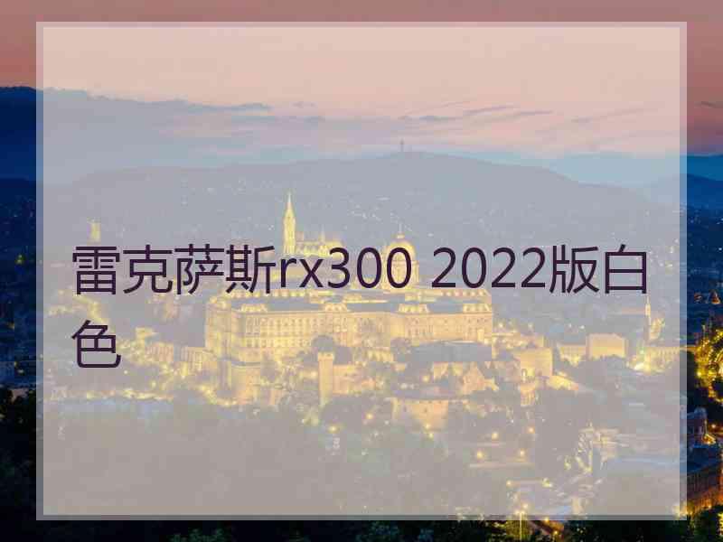 雷克萨斯rx300 2022版白色