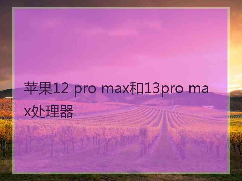 苹果12 pro max和13pro max处理器