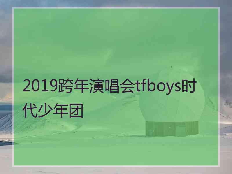 2019跨年演唱会tfboys时代少年团