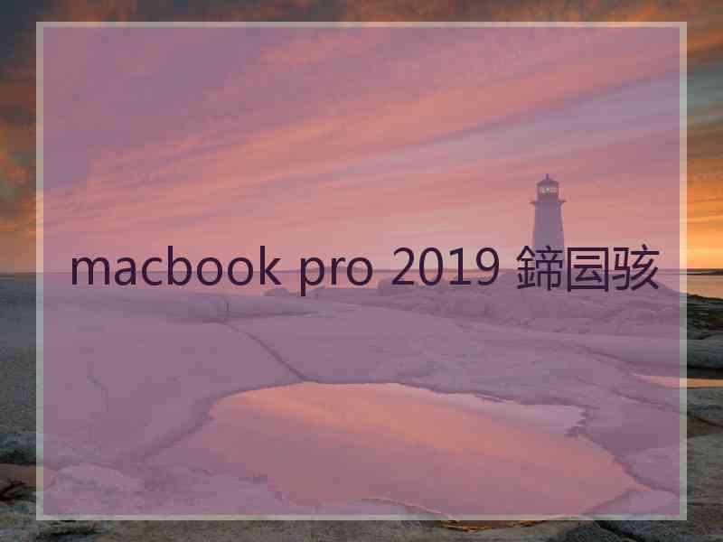 macbook pro 2019 鍗囩骇