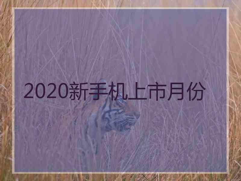 2020新手机上市月份